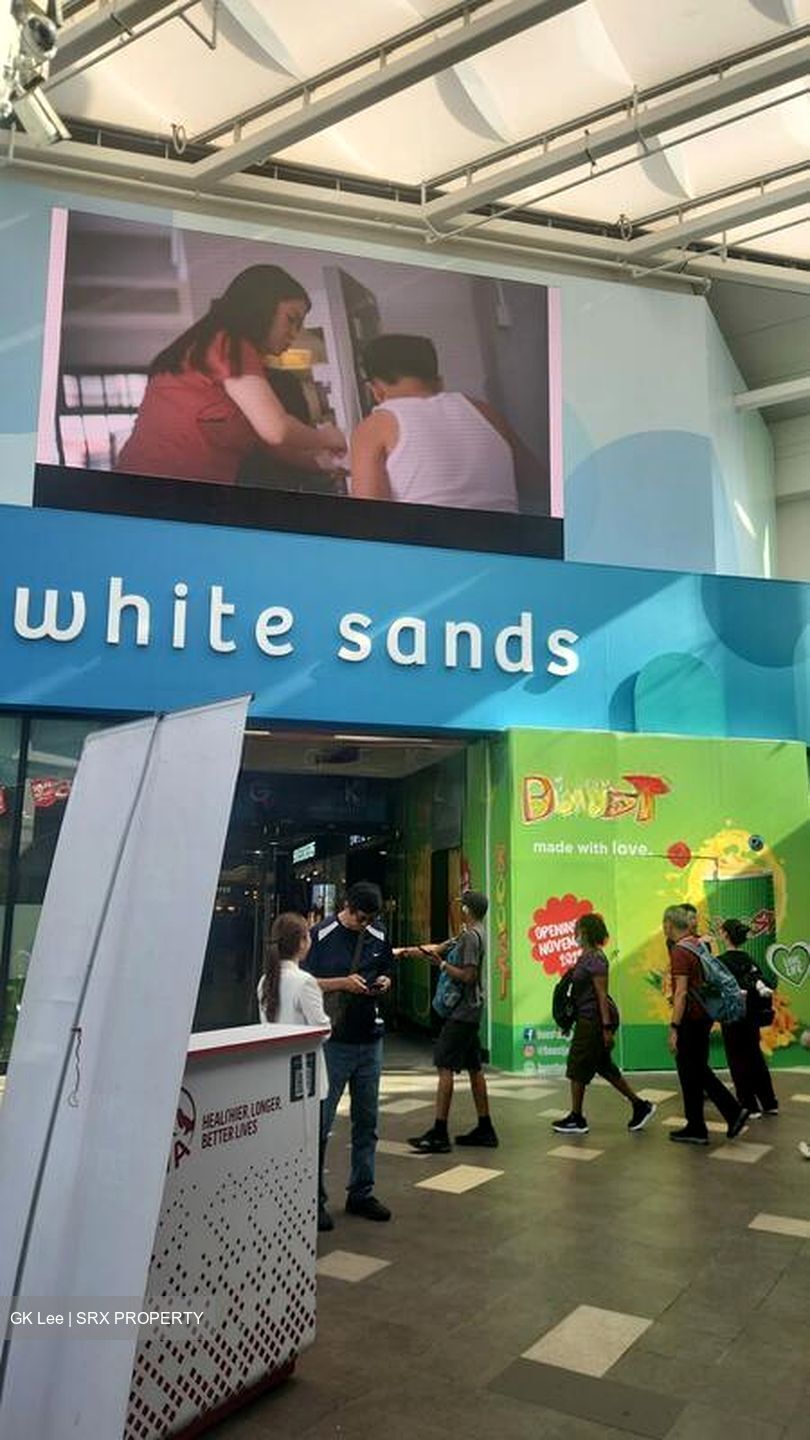 Jalan Loyang Besar (D17), Condominium #501335371